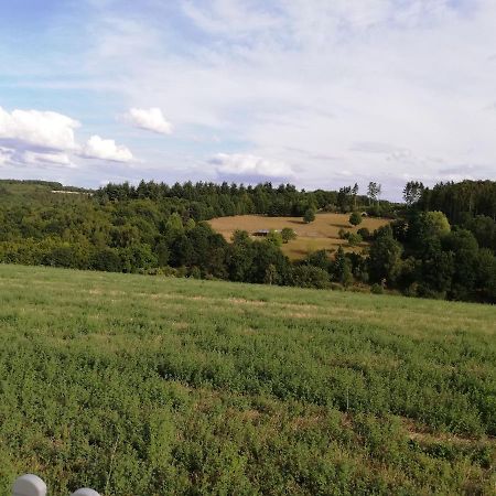 Ferienwohnung Altmaier - Ferien Auf Dem Lande Griebelschied Dış mekan fotoğraf