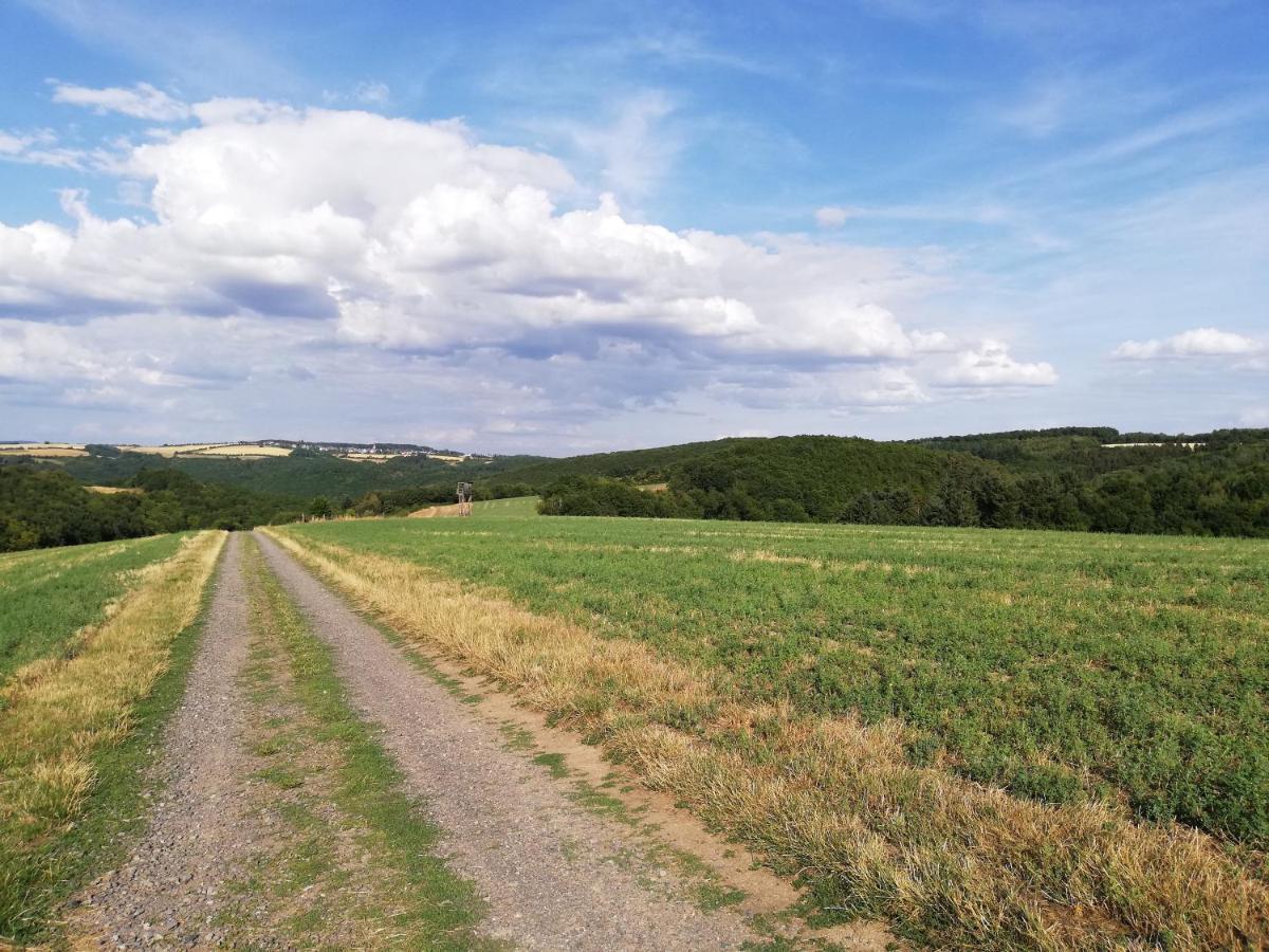 Ferienwohnung Altmaier - Ferien Auf Dem Lande Griebelschied Dış mekan fotoğraf